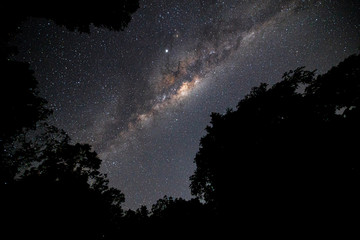 Milky-way and trees