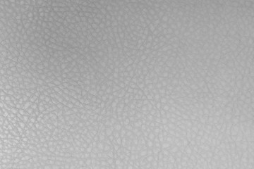 White leather texture background. Skin pattern for manufacturing of luxury shoes, clothes, bags and fashion. Picture for wallpaper, design