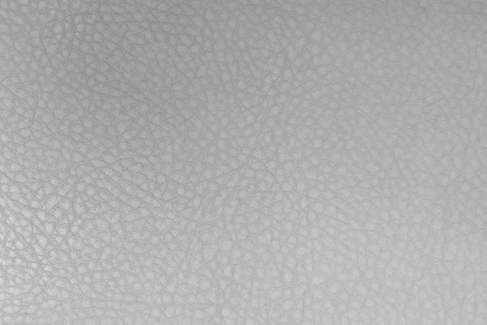 White leather texture background. Skin pattern for manufacturing of luxury shoes, clothes, bags and fashion. Picture for wallpaper, design