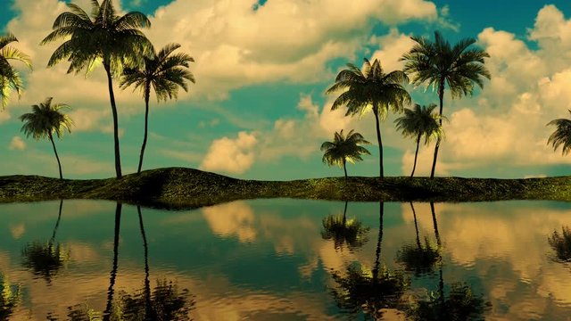 3d animation. Maldives, palm trees and the ocean
