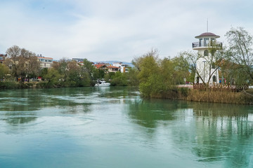 tree in the water - manavgat river