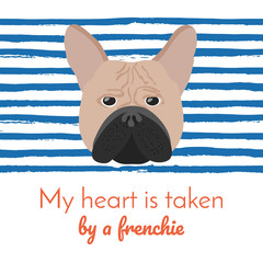 French Bulldog. Cute Cream or Fawn Frenchie.