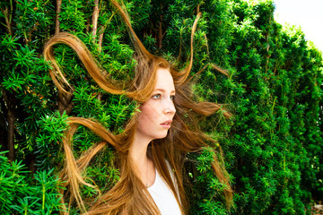 Naklejka premium Beautiful redhead woman in hedge with tangled hair