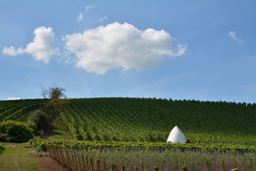 trullo im weinberg bei uffhofen