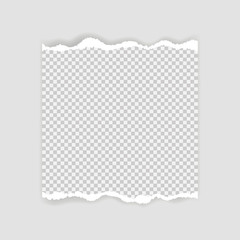 Blank sheet of torn paper for text or message. Torn paper edge. Torn paper stripes. Vector illustration