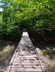 a wooden suspension bridge