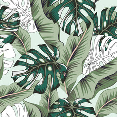 Tropical green banana, monstera palm leaves background. Vector seamless pattern. Graphic illustration. Exotic jungle plants. Summer beach floral design. Paradise nature