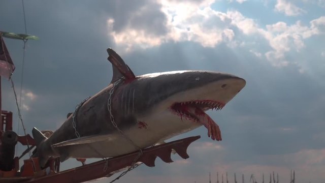 Great shark swallowed a man
