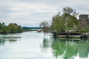 Fototapeta premium tree in the water - manavgat river