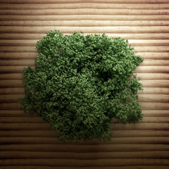 Summer banner, tree and leaves. 3d illustration, 3d rendering.