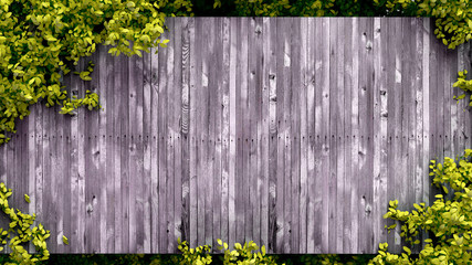 Summer banner, tree and leaves. 3d illustration, 3d rendering.