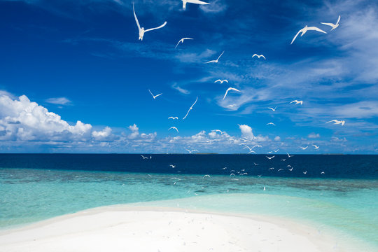 UNESCO Biosphere Reserved, Baa Atoll , Maldives