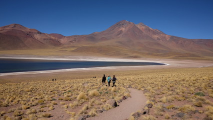 Laguna Altiplano