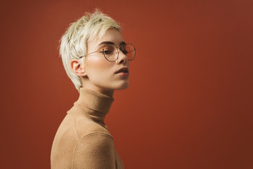Beauty Studio Portrait of a Woman