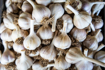 Garlic Cloves