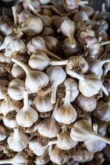 Garlic Cloves