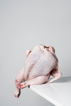 turkey