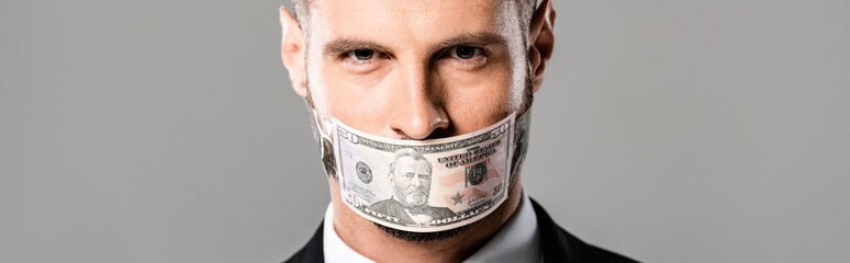 panoramic shot of sly businessman in black suit with dollar banknote on mouth isolated on grey