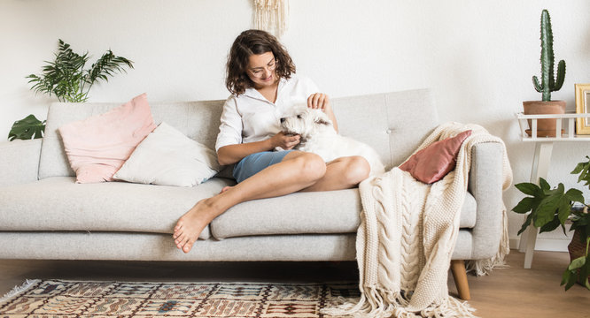 Westie chilling on the couch with her owner