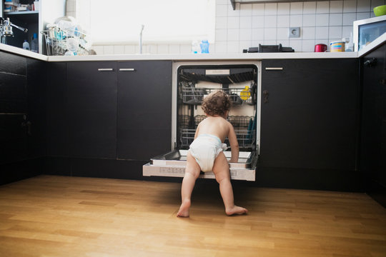 Young child in nappy climbing inside a dishwashing machine