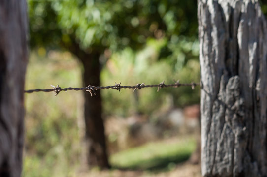 detail of a fence