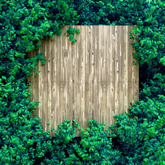 Summer banner, tree and leaves. 3d illustration, 3d rendering.