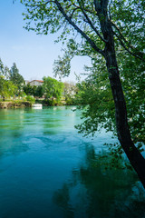 tree in the water - manavgat river