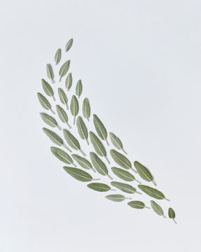 Composition, from green leaves in the form of a leaf on a gray b
