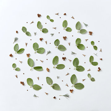 The pattern in the form of a circle of green leaves, branches an