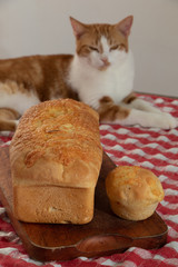 Recife., Pernambuco / Brasil - August, 21, 2019. Homemade brioche bread served on table with checkered tablecloth, with a cat in the background.