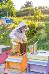 Beekeeper with honeycombs and smoker