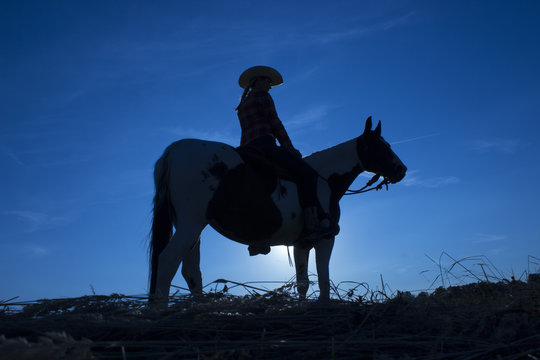 Silhouette cowgirl on horse at sunset in blue (7)