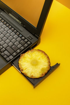 Pine CD