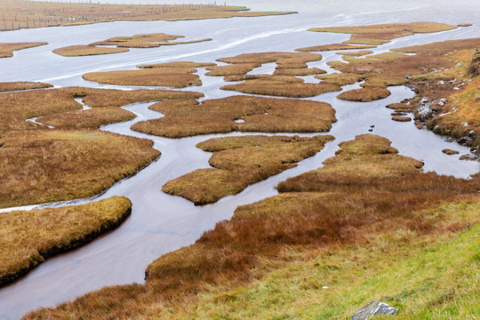 Salt Marsh in Scotland