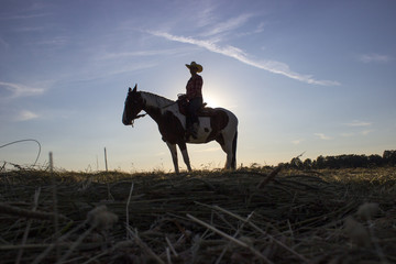 Silhouette cowgirl on horse at sunset