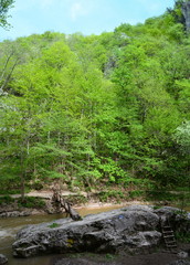 Varghis canyon - Romania