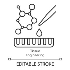 Tissue engineering linear icon. Repair damaged human organs. Regenerative medicine. Bioengineering. Thin line illustration. Contour symbol. Vector isolated outline drawing. Editable stroke