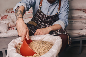 Close up of a brewery worker taking hop seeds from the bag.