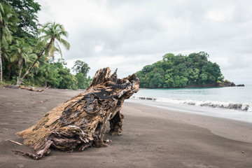 Fototapeta na wymiar Paisaje donde la selva se junta con la playa con isla de fondo en la costa Pacífica de Colombia