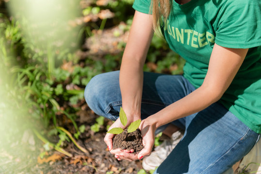 Volunteer holding seedling in hands