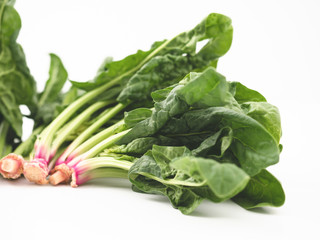 Spinach leafs and stems isolated on white