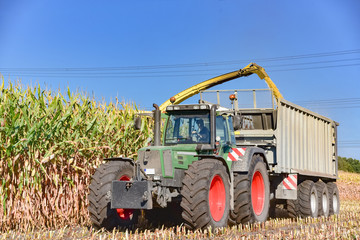 Obraz premium Häckseln von Mais - Maisernte
