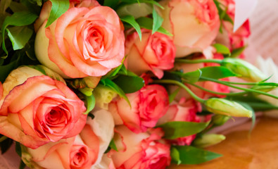 Beautiful rose flower in garden. Rose flower background. Roses flower texture. Lovely rose. Roses...