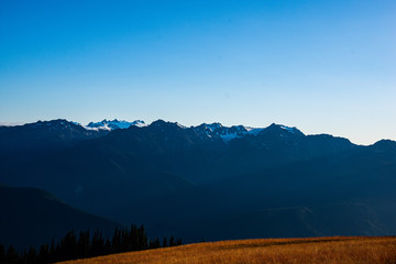 Fototapeta premium Sunset over Hurricane Ridge in Olympic National Park, near Port Angeles, Washington State, Pacific Northwest