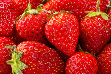 beautiful and ripe red strawberries on a white background