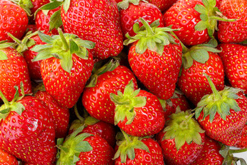 beautiful and ripe red strawberries on a white background