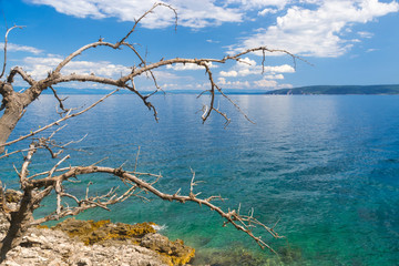 Beach of the Adriatic sea in Croatia