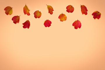 Background with autumn leaves  on a  beige background with space