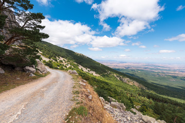 Fototapeta na wymiar Rural pathway in moncayo mountain, Aragon region, Spain. Natural environment in summer season .