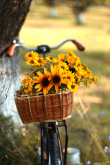 romantic retro bike with basket full of flowers in rural landscape
